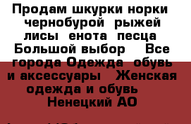 Продам шкурки норки, чернобурой, рыжей лисы, енота, песца. Большой выбор. - Все города Одежда, обувь и аксессуары » Женская одежда и обувь   . Ненецкий АО